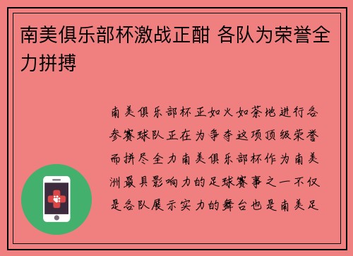 南美俱乐部杯激战正酣 各队为荣誉全力拼搏 南美俱乐部杯激战正酣 各队为荣誉全力拼搏